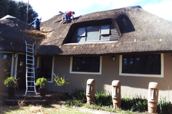 Thatch Repairs